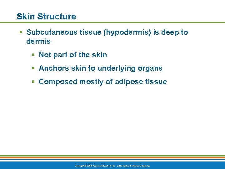Skin Structure § Subcutaneous tissue (hypodermis) is deep to dermis § Not part of