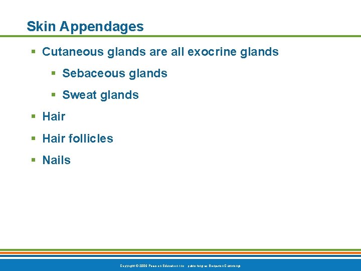 Skin Appendages § Cutaneous glands are all exocrine glands § Sebaceous glands § Sweat