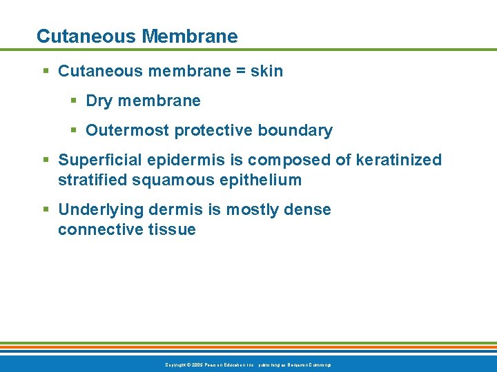 Cutaneous Membrane § Cutaneous membrane = skin § Dry membrane § Outermost protective boundary