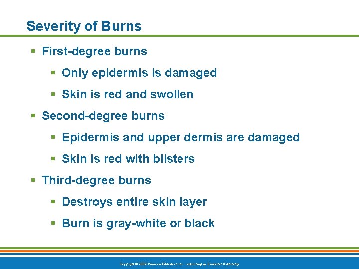 Severity of Burns § First-degree burns § Only epidermis is damaged § Skin is