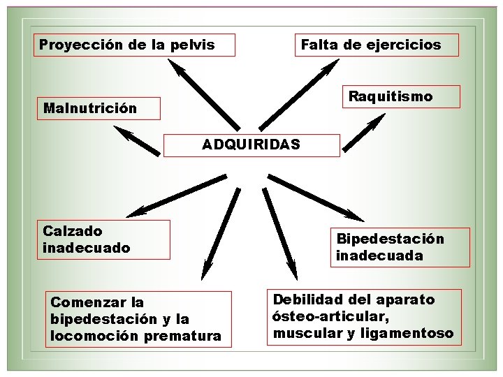 Proyección de la pelvis Falta de ejercicios Raquitismo Malnutrición ADQUIRIDAS Calzado inadecuado Comenzar la
