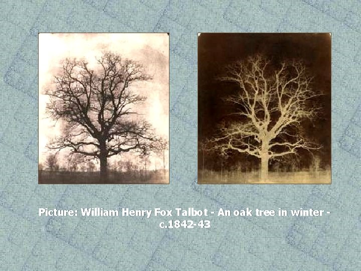 Picture: William Henry Fox Talbot - An oak tree in winter c. 1842 -43