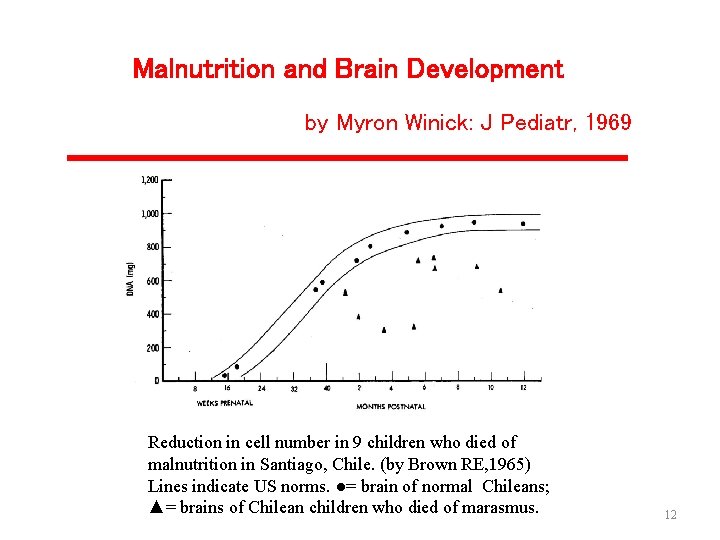 Malnutrition and Brain Development by Myron Winick: J Pediatr, 1969 Reduction in cell number