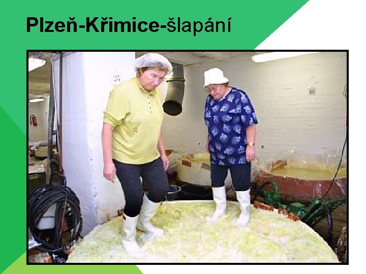 Plzeň-Křimice-šlapání 
