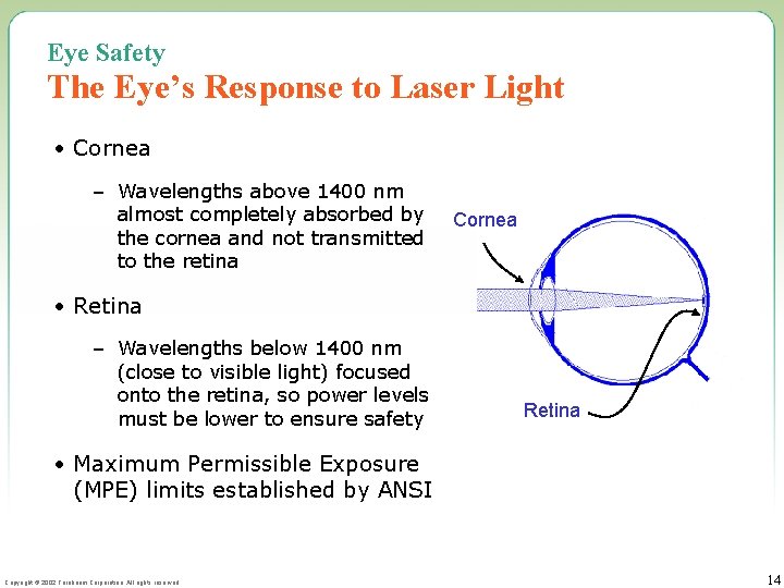 Eye Safety The Eye’s Response to Laser Light • Cornea – Wavelengths above 1400