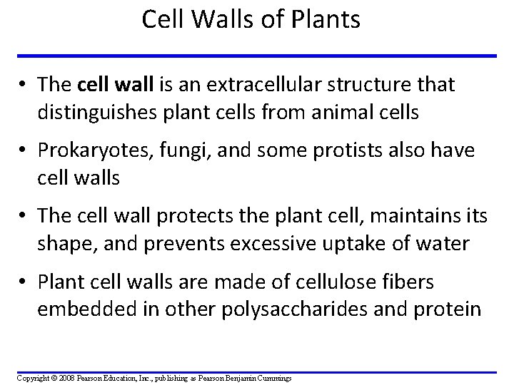 Cell Walls of Plants • The cell wall is an extracellular structure that distinguishes