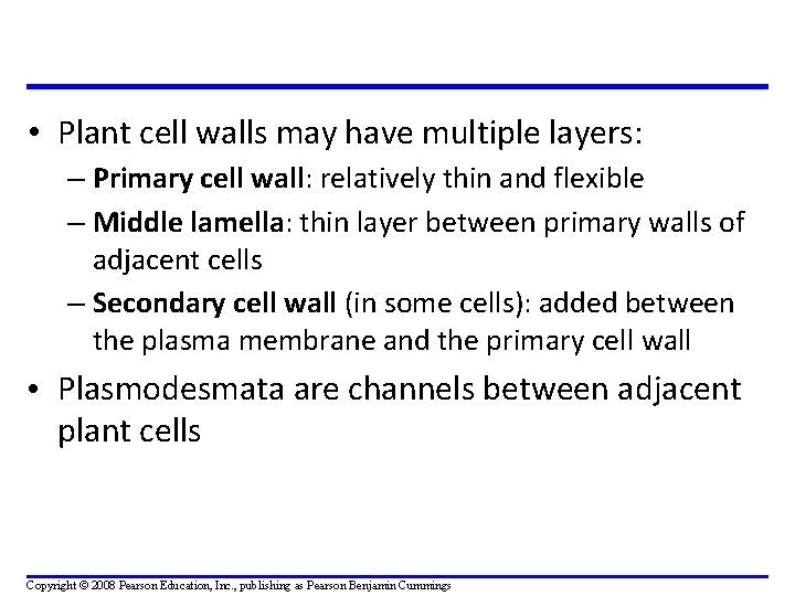  • Plant cell walls may have multiple layers: – Primary cell wall: relatively