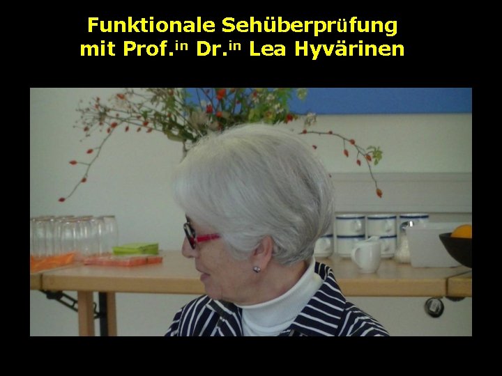 Funktionale Sehüberprüfung mit Prof. in Dr. in Lea Hyvärinen 