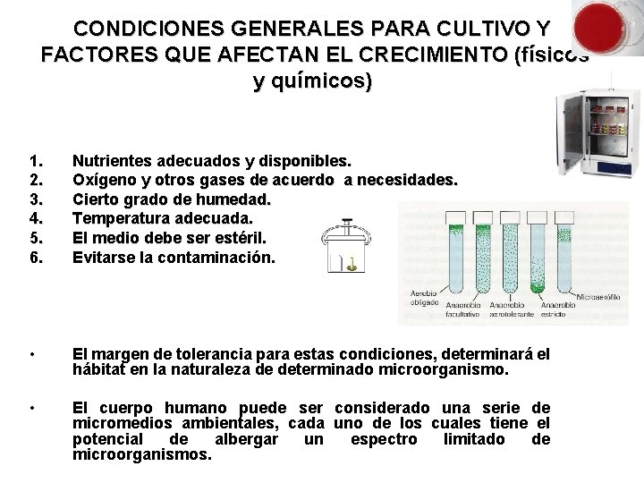 CONDICIONES GENERALES PARA CULTIVO Y FACTORES QUE AFECTAN EL CRECIMIENTO (físicos y químicos) 1.