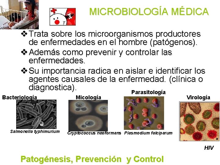 MICROBIOLOGÍA MÉDICA v Trata sobre los microorganismos productores de enfermedades en el hombre (patógenos).
