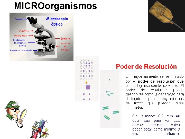 MICROorganismos 