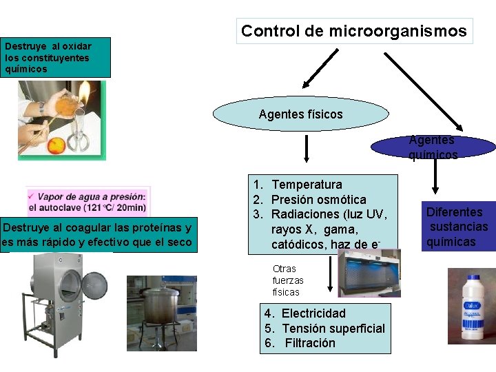 Control de microorganismos Destruye al oxidar los constituyentes químicos Agentes físicos Agentes químicos Destruye
