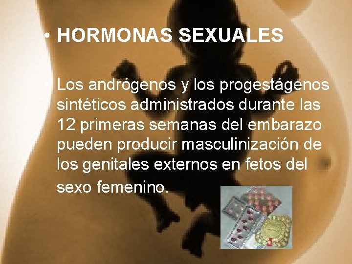  • HORMONAS SEXUALES • Los andrógenos y los progestágenos sintéticos administrados durante las