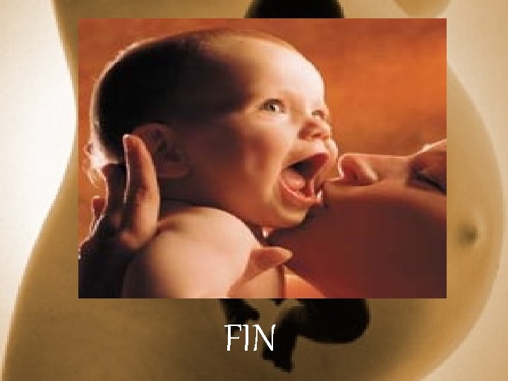 FIN 