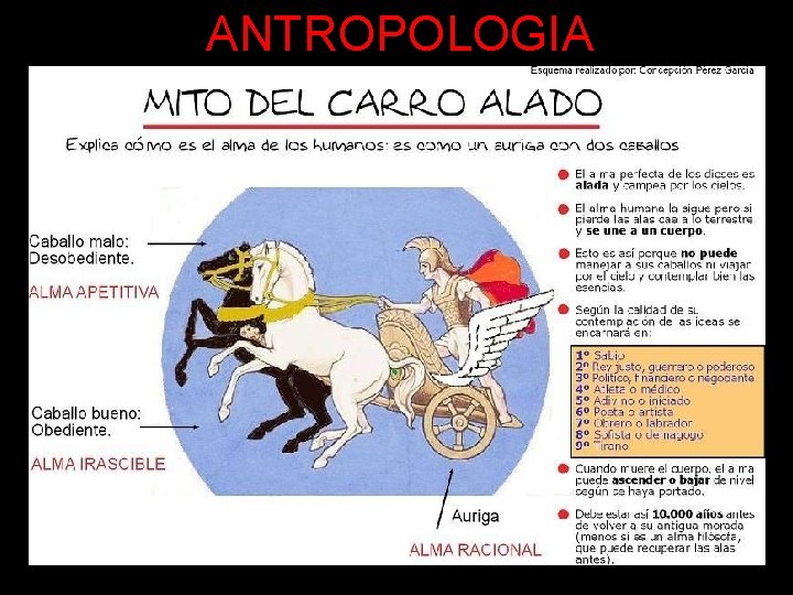 ANTROPOLOGIA 