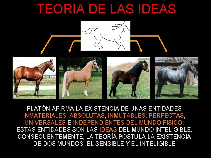 TEORIA DE LAS IDEAS PLATÓN AFIRMA LA EXISTENCIA DE UNAS ENTIDADES INMATERIALES, ABSOLUTAS, INMUTABLES,