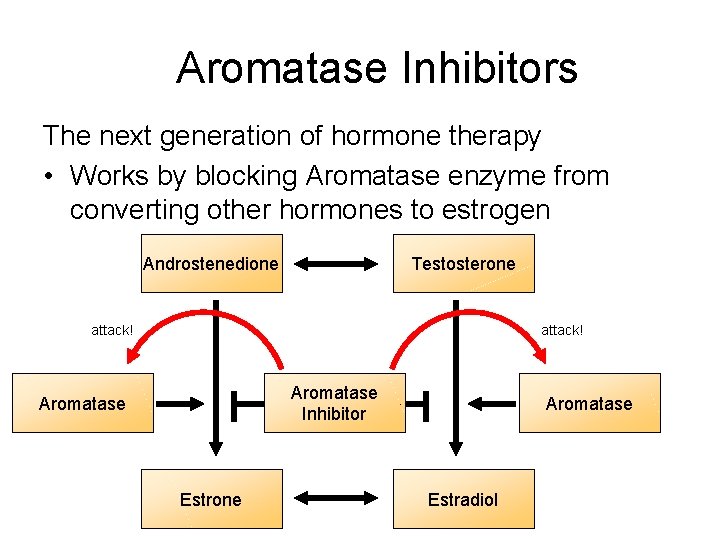 Aromatase Inhibitors The next generation of hormone therapy • Works by blocking Aromatase enzyme