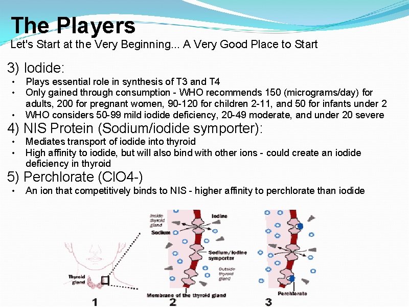 The Players Let's Start at the Very Beginning. . . A Very Good Place