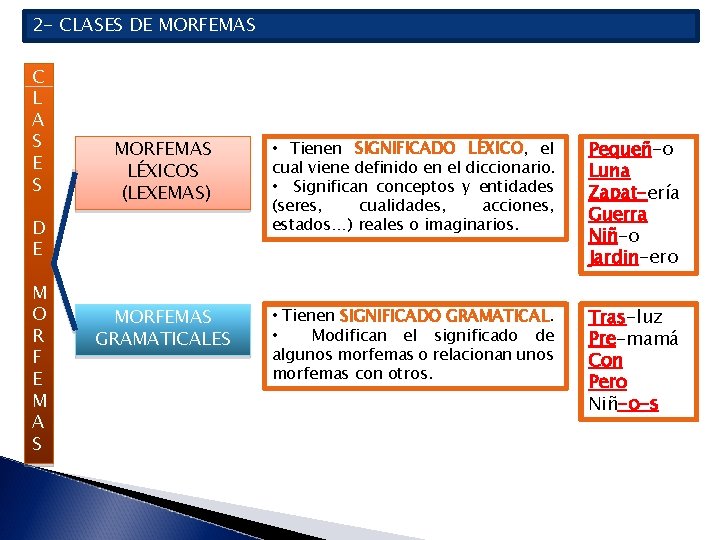 2 - CLASES DE MORFEMAS C L A S E S MORFEMAS LÉXICOS (LEXEMAS)
