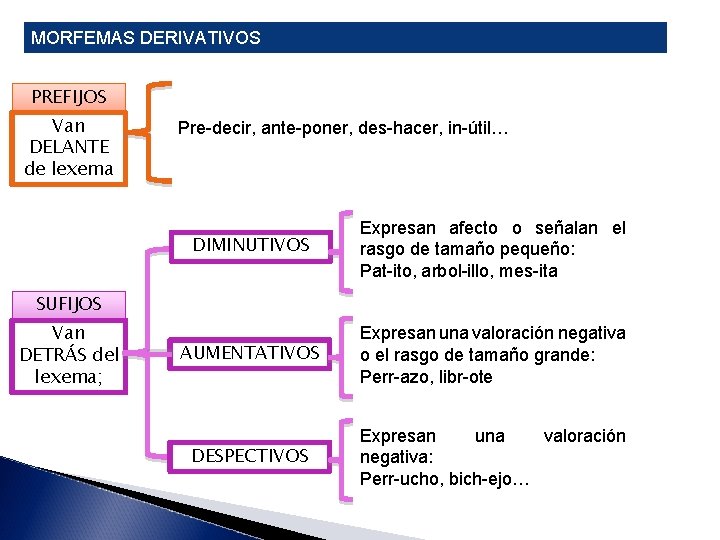 MORFEMAS DERIVATIVOS PREFIJOS Van DELANTE de lexema Pre-decir, ante-poner, des-hacer, in-útil… DIMINUTIVOS Expresan afecto