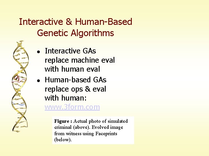 Interactive & Human-Based Genetic Algorithms l l Interactive GAs replace machine eval with human