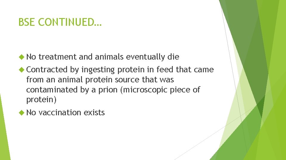BSE CONTINUED… No treatment and animals eventually die Contracted by ingesting protein in feed