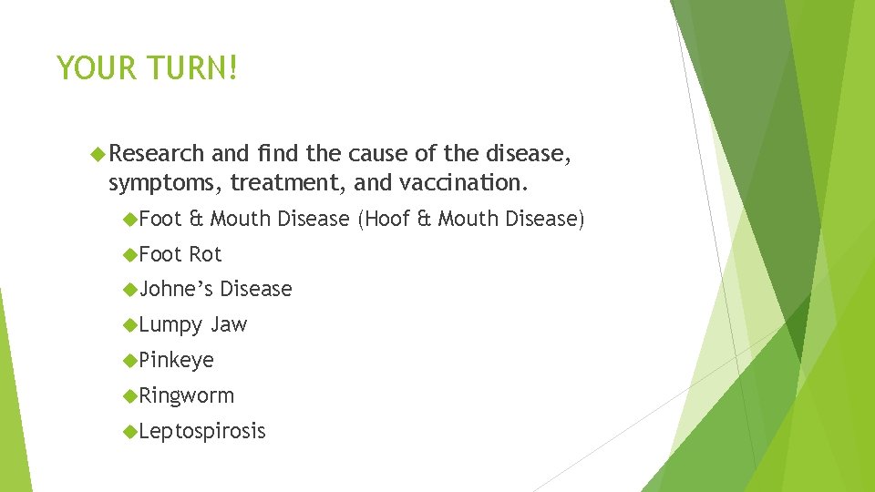 YOUR TURN! Research and find the cause of the disease, symptoms, treatment, and vaccination.