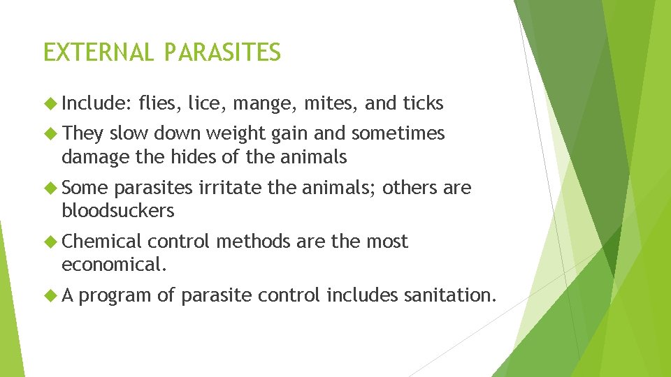 EXTERNAL PARASITES Include: flies, lice, mange, mites, and ticks They slow down weight gain