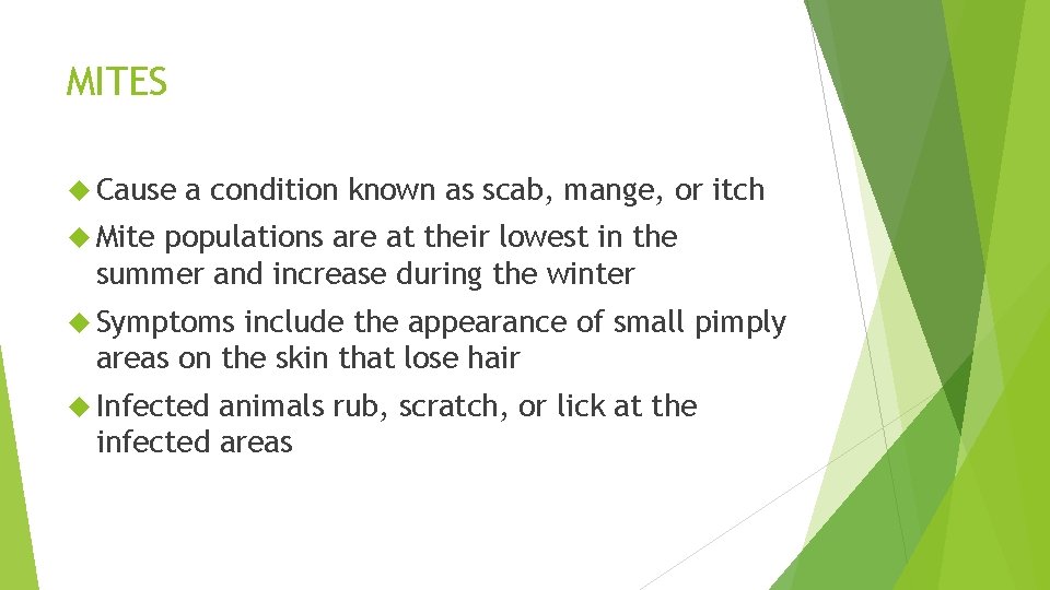 MITES Cause a condition known as scab, mange, or itch Mite populations are at