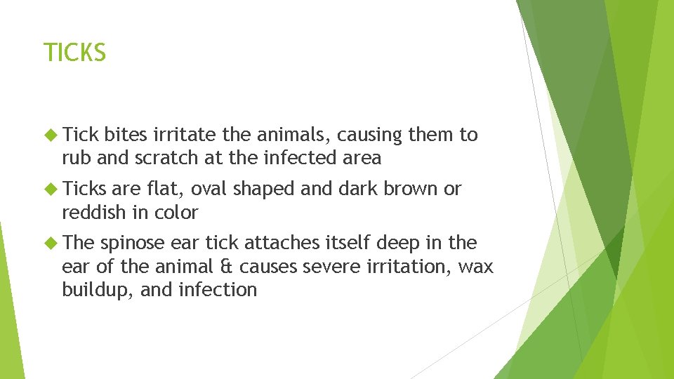 TICKS Tick bites irritate the animals, causing them to rub and scratch at the