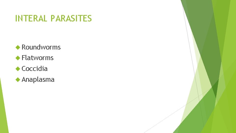 INTERAL PARASITES Roundworms Flatworms Coccidia Anaplasma 