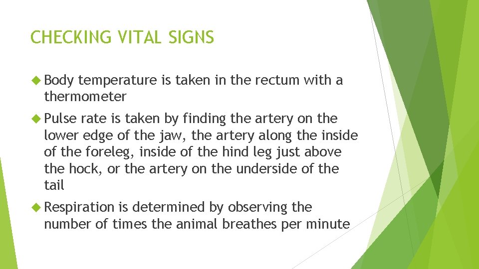 CHECKING VITAL SIGNS Body temperature is taken in the rectum with a thermometer Pulse