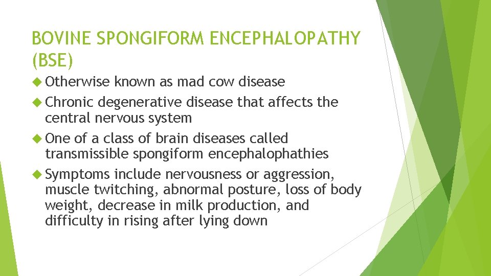 BOVINE SPONGIFORM ENCEPHALOPATHY (BSE) Otherwise known as mad cow disease Chronic degenerative disease that