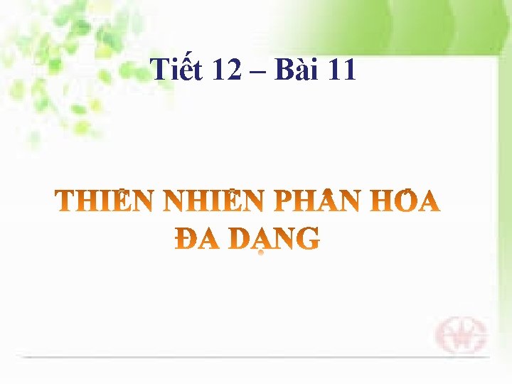 Tiết 12 – Bài 11 