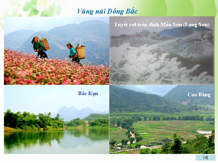 Vùng núi Đông Bắc Tuyết rơi trên đỉnh Mẫu Sơn (Lạng Sơn) Bắc Kạn