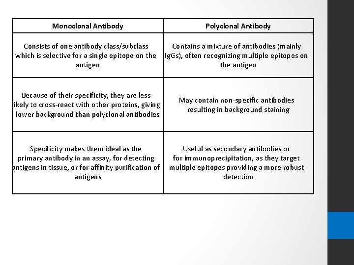 Monoclonal Antibody Polyclonal Antibody Consists of one antibody class/subclass Contains a mixture of antibodies