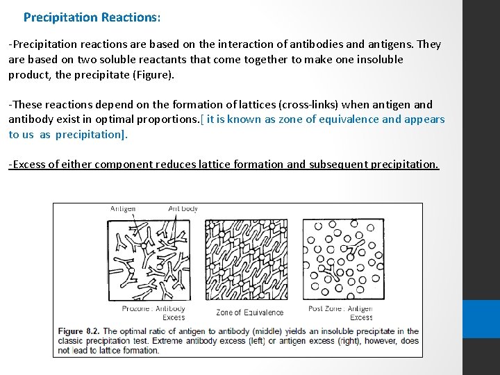 Precipitation Reactions: -Precipitation reactions are based on the interaction of antibodies and antigens. They