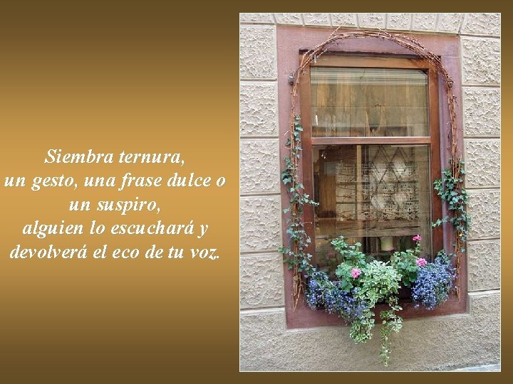 Siembra ternura, un gesto, una frase dulce o un suspiro, alguien lo escuchará y Siembra ternura, un gesto, una frase dulce o un suspiro, alguien lo escuchará y
