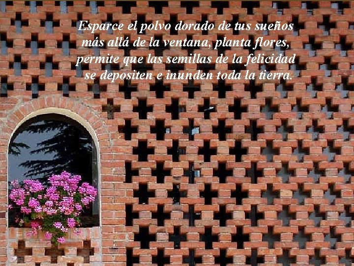 Esparce el polvo dorado de tus sueños más allá de la ventana, planta flores, Esparce el polvo dorado de tus sueños más allá de la ventana, planta flores,