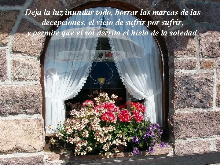 Deja la luz inundar todo, borrar las marcas de las decepciones, el vicio de Deja la luz inundar todo, borrar las marcas de las decepciones, el vicio de