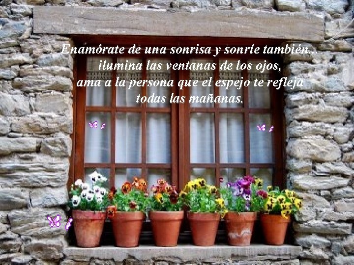 Enamórate de una sonrisa y sonríe también. . . ilumina las ventanas de los Enamórate de una sonrisa y sonríe también. . . ilumina las ventanas de los