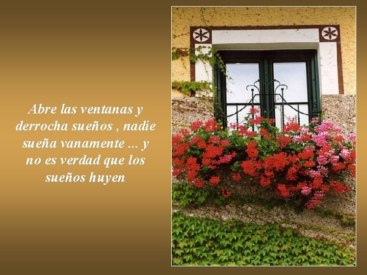 Abre las ventanas y derrocha sueños , nadie sueña vanamente. . . y no Abre las ventanas y derrocha sueños , nadie sueña vanamente. . . y no
