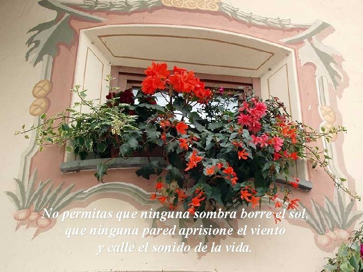 No permitas que ninguna sombra borre el sol, que ninguna pared aprisione el viento No permitas que ninguna sombra borre el sol, que ninguna pared aprisione el viento