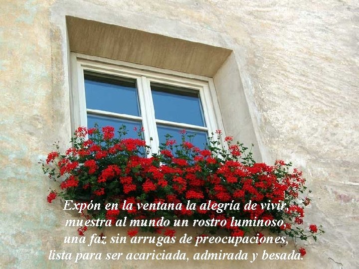 Expón en la ventana la alegría de vivir, muestra al mundo un rostro luminoso, Expón en la ventana la alegría de vivir, muestra al mundo un rostro luminoso,