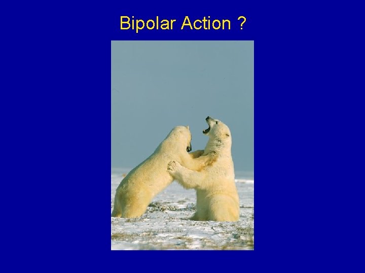 Bipolar Action ? Bipolar Action ?
