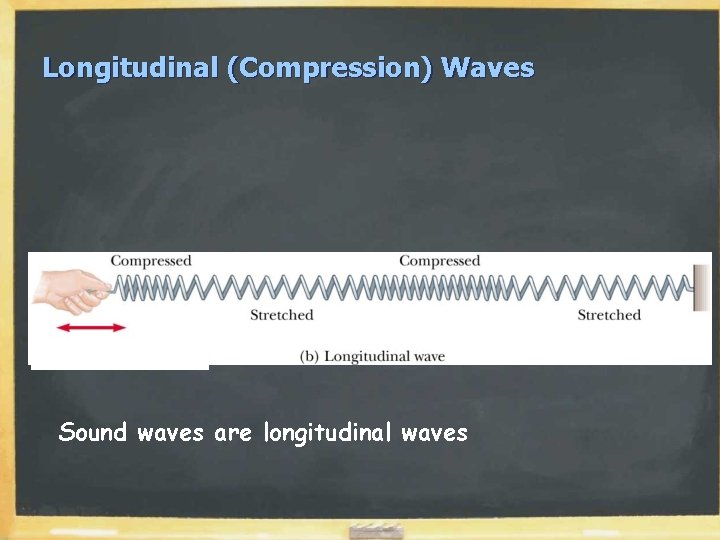 Longitudinal (Compression) Waves Sound waves are longitudinal waves 