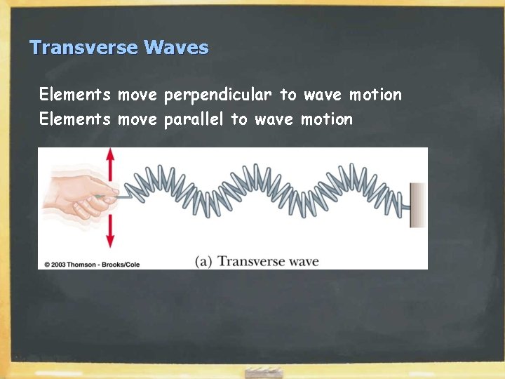 Transverse Waves Elements move perpendicular to wave motion Elements move parallel to wave motion