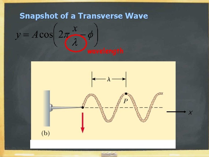 Snapshot of a Transverse Wave wavelength x Snapshot of a Transverse Wave wavelength x