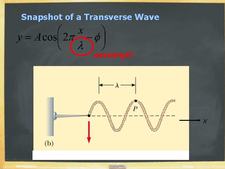 Snapshot of a Transverse Wave wavelength x 