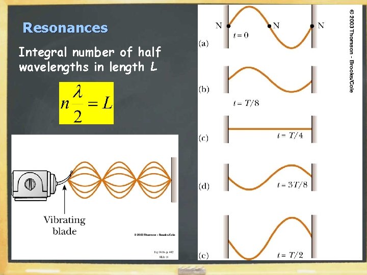 Resonances Integral number of half wavelengths in length L 